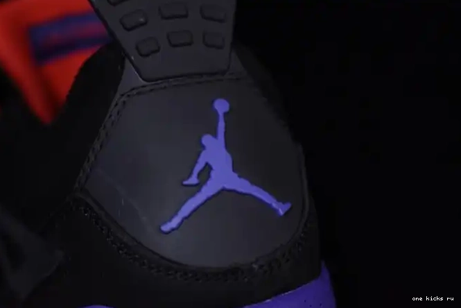 Cheap NRG Raptors